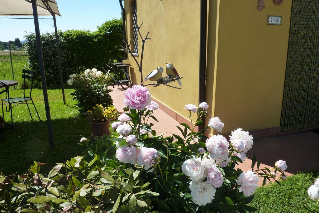 Il Nido Villa Lucca Room photo