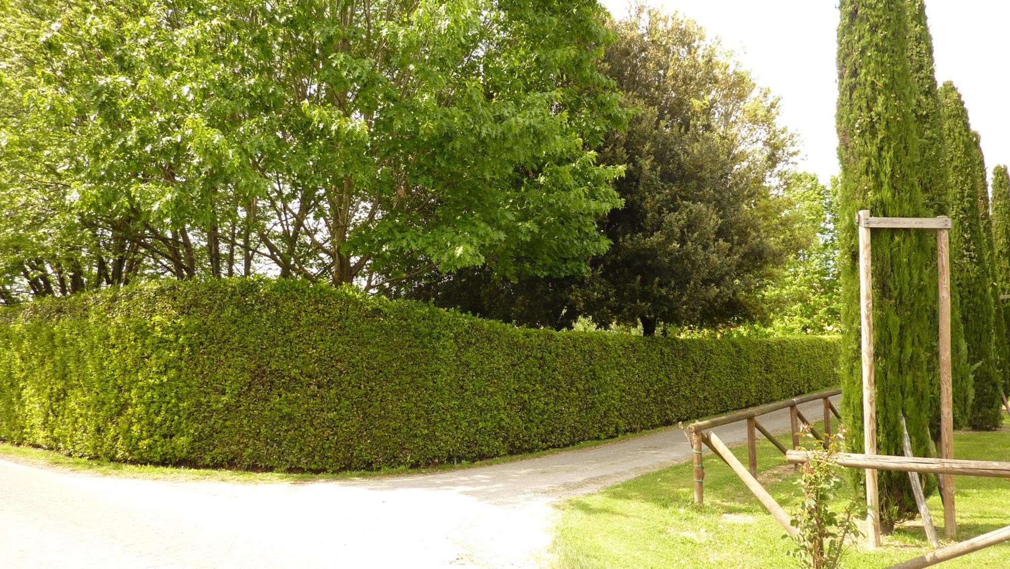 Il Nido Villa Lucca Exterior photo