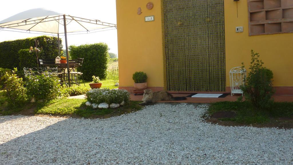 Il Nido Villa Lucca Exterior photo